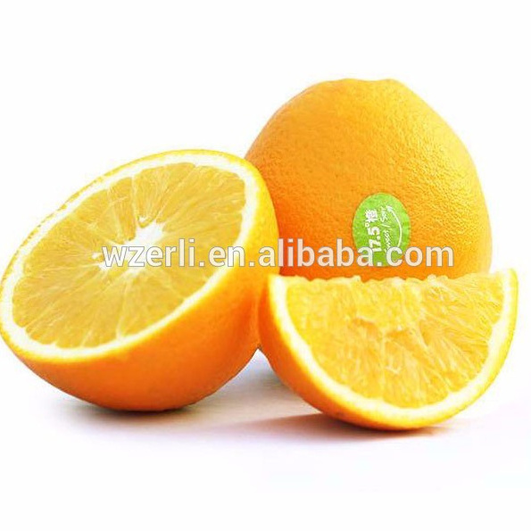 Best selling Custom Edible Fruit Sticker