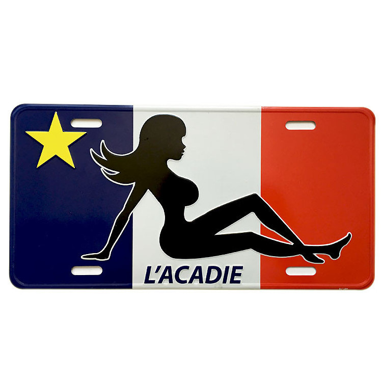 Custom High Quality Blank Sublimation License Plates Blank White Aluminum Car License Plates Sublimation Number License Plate