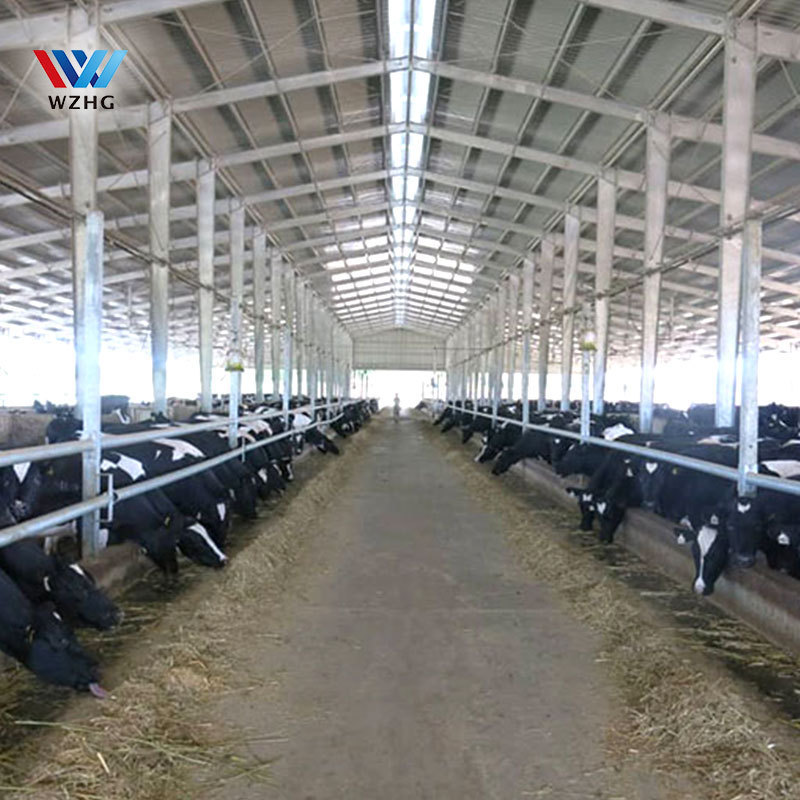 China Low Cost Prefab Metal Steel Structure Farm Building Cow Chicken Sheep barn shed for sale