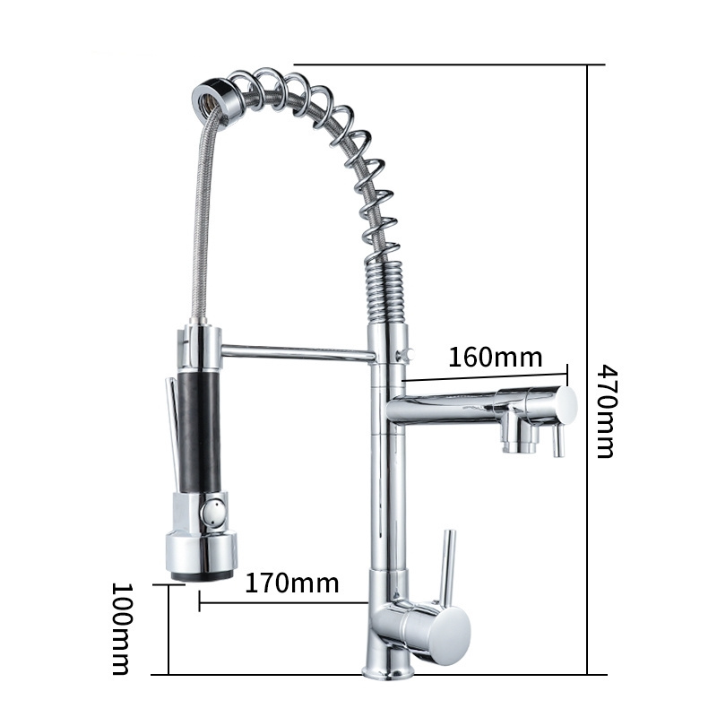 Spray Brass Sanitary Ware grifo de cocina Kitchen Faucet Hot Cold Water Mixer Tap Kitchen Sink Pull Out Faucet