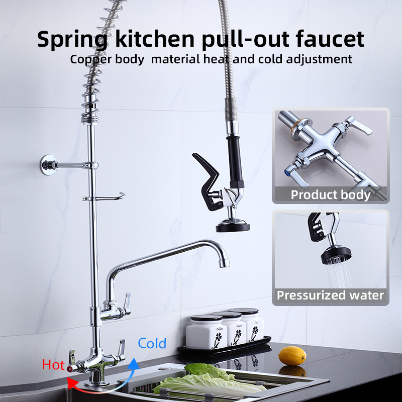 Cafes Bar Dishwasher Sink Double Handle Pull Out Taps Kitchen Sink Heavy Faucet With Pull Out Sprayer