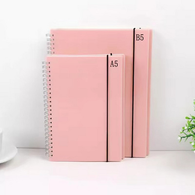 Color  PP Material cover silver double coil ring a5 spiral notebook