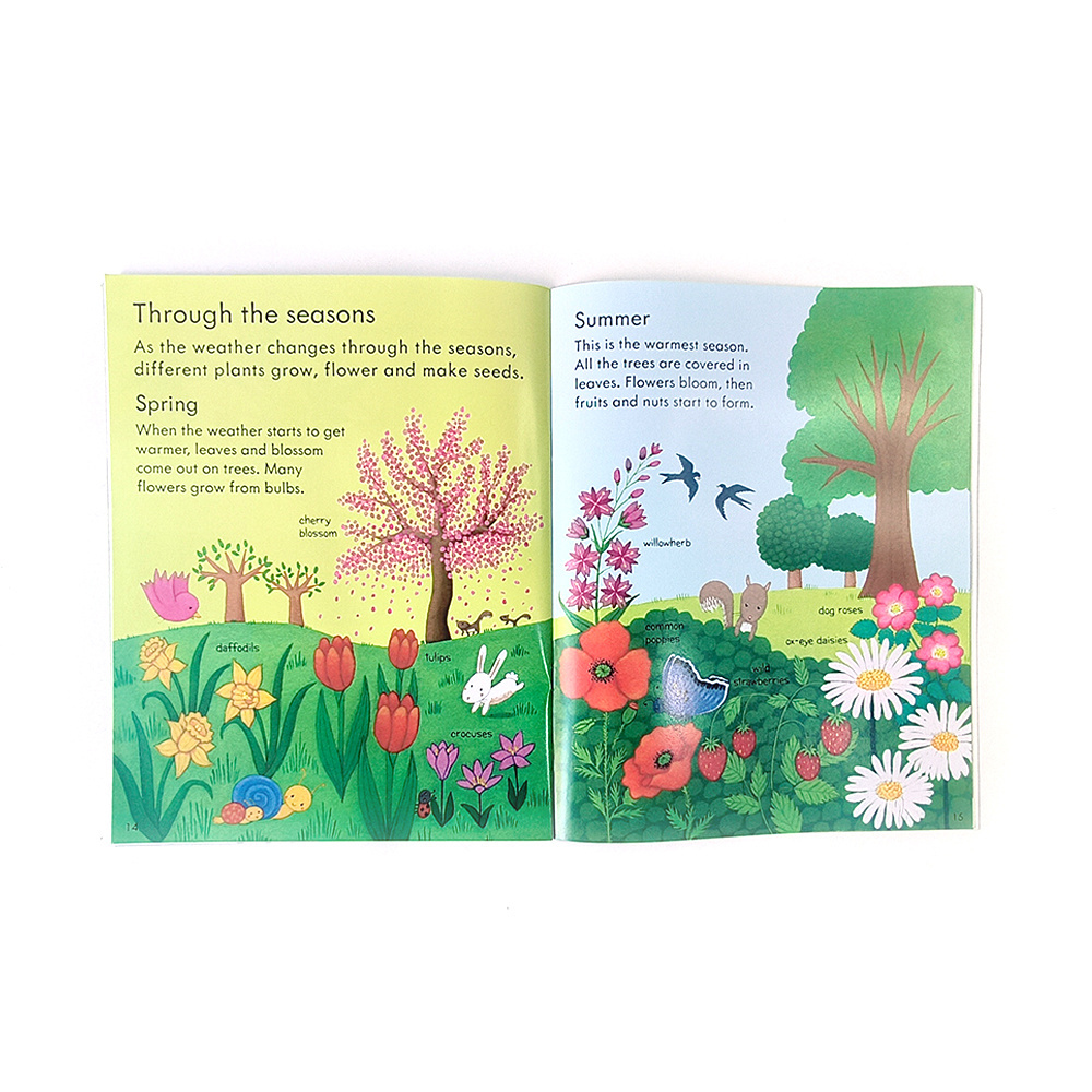 Wholesale Products Custom Travel Toys For Kids My First Sticker Book About How Things Grow Picture Book