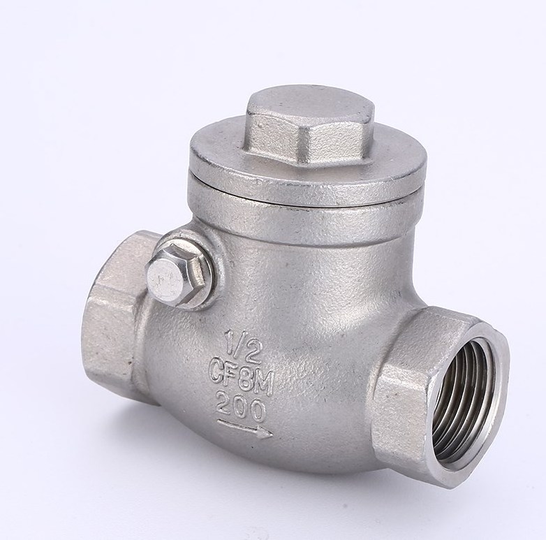 High Quality 304 316 stainless steel NPT threaded spring and swing check valve