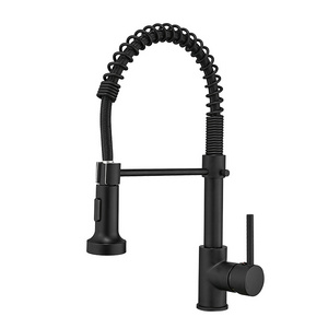 Fapully Modern Black Sink Faucet Kitchen Faucet with Pull Down Sprayer Kitchen Mixer Kitchen Water Tap Spout Brass Contemporary