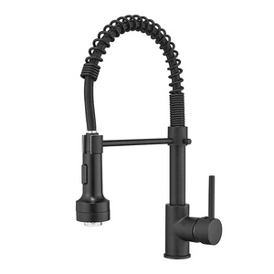 Fapully Modern LED Black Sink Faucet with Pull Down Spout Brass Kitchen Faucet with Pull Down Sprayer