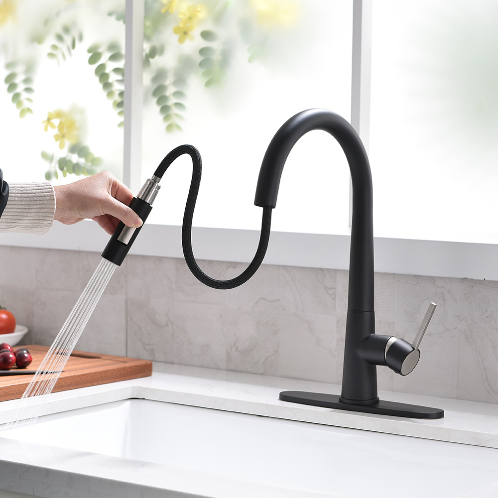 Fapully High quality single handle kitchen faucet with deck plate