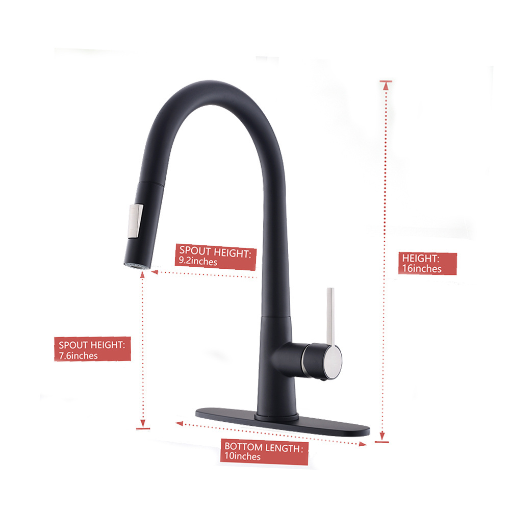 Fapully High quality single handle kitchen faucet with deck plate