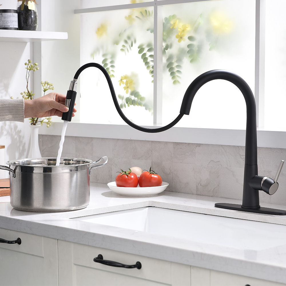 Fapully High quality single handle kitchen faucet with deck plate