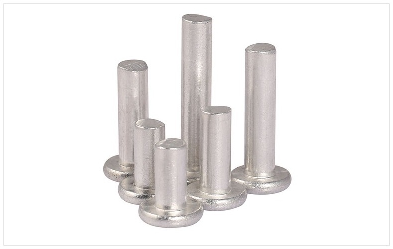 High quality stainless steel 304  solid metal rivets and round head rivets non-standard custom