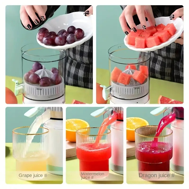 Home Appliances Stainless Steel Fruit Slow Centrifugal Juicer For Household Fruit Juice Extractor