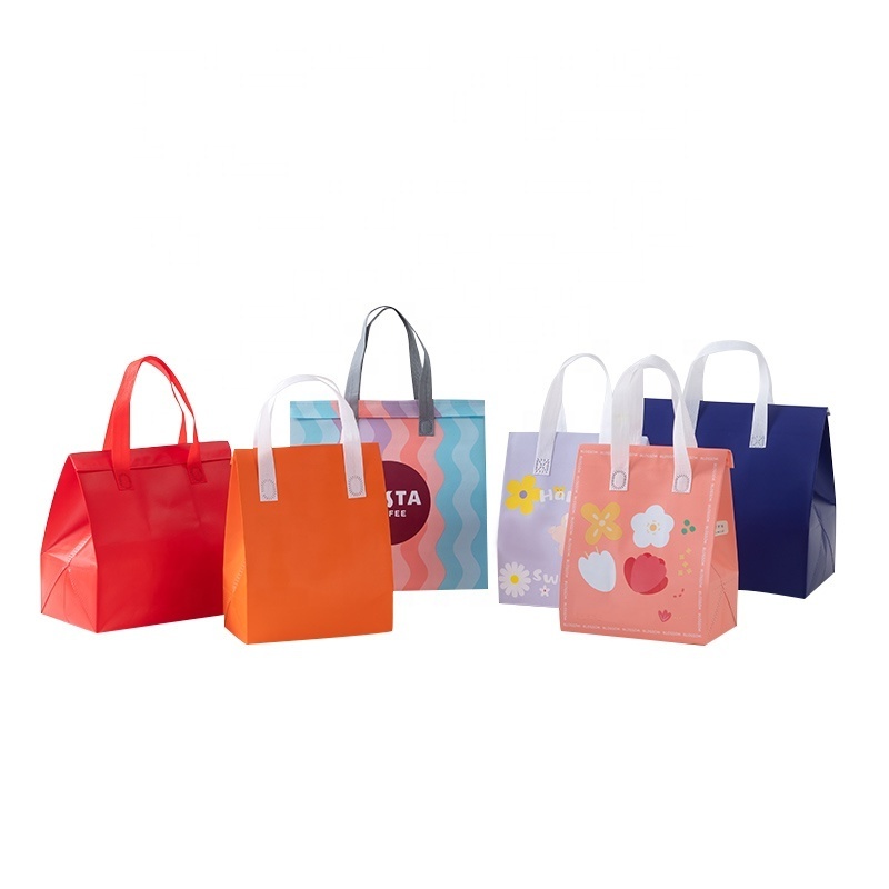 Picnic Fashion Lunch Insulation Work Meal Custom Printed Logo Outdoor Picnic Promotional Cooler Bag