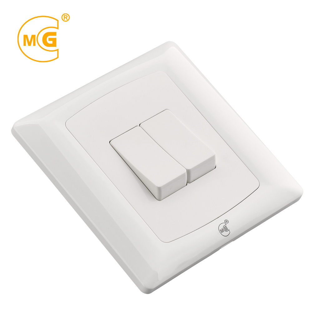 Electrical 10 A two gang one way wall light switch