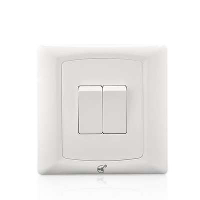 Electrical 10 A two gang one way wall light switch