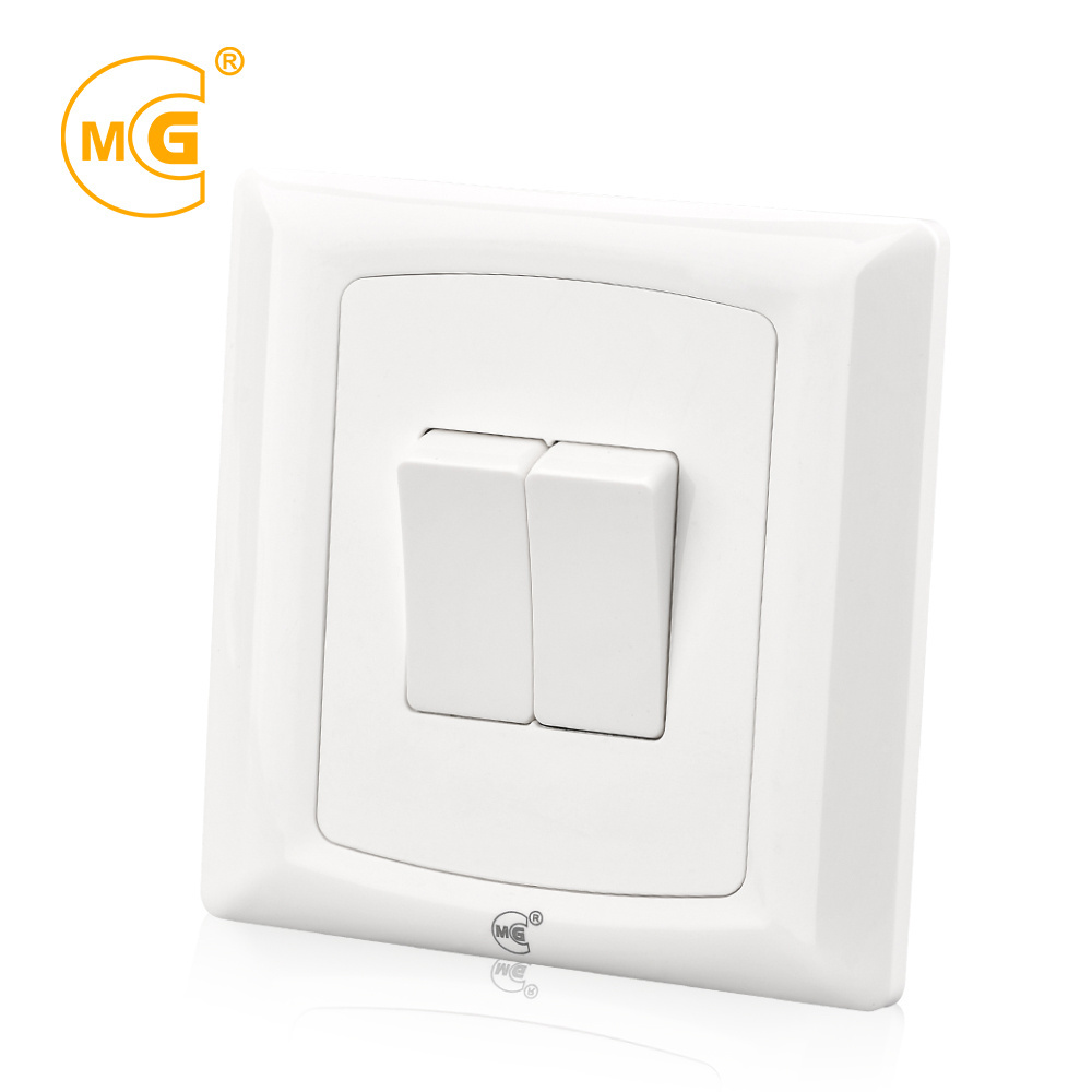 Electrical 10 A two gang one way wall light switch