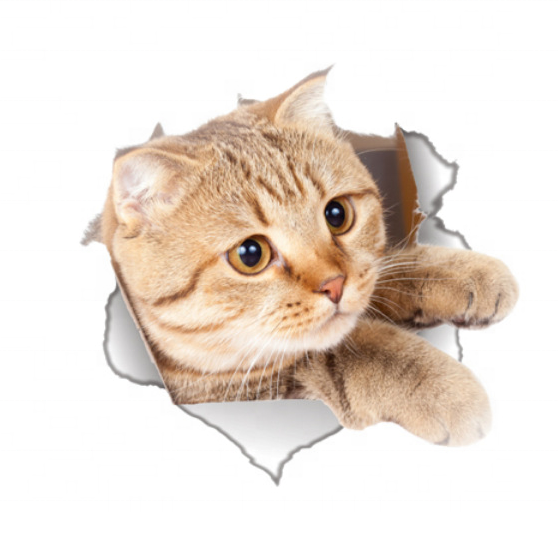 custom 3d cat broken wall decoration toilet bowl cover toilet sticker wall sticker