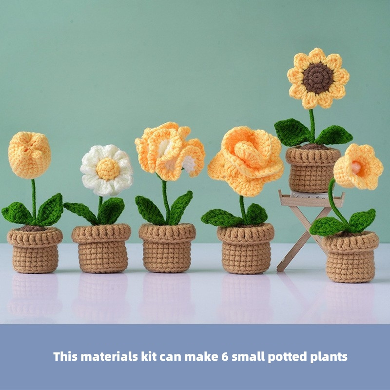 DIY Crochetta Crochet Starter Kit for Beginners with Yarn Flower Cactus Plant Pot Crochet Knitting Materials Kit Set for Adults