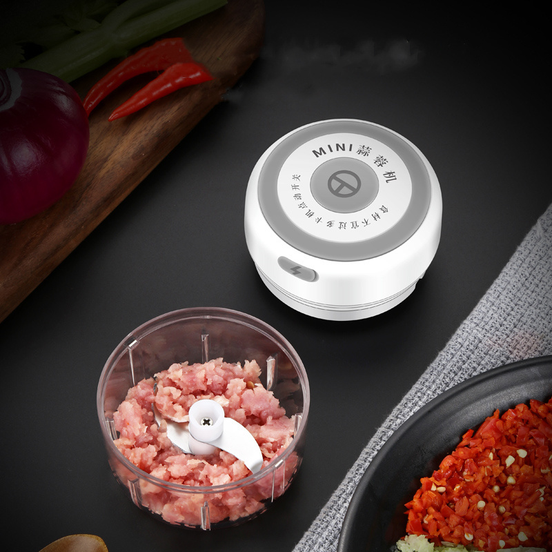 Dropshipping 250ml Portable Garlic Blender Mini Chopper Food Processor Food Slicer And   Electric Garlic Chopper