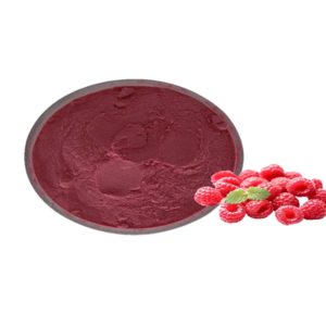 OEM&ODM&Bulk Factory supplement weight loss pure nature fruit extract raspberry ketones powder