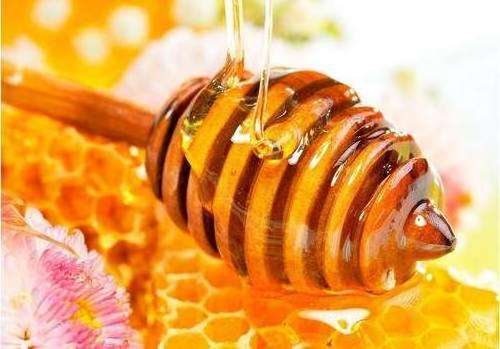 Natural Organic Bee Propolis Liquid Extract 100% Pure Propolis Extract