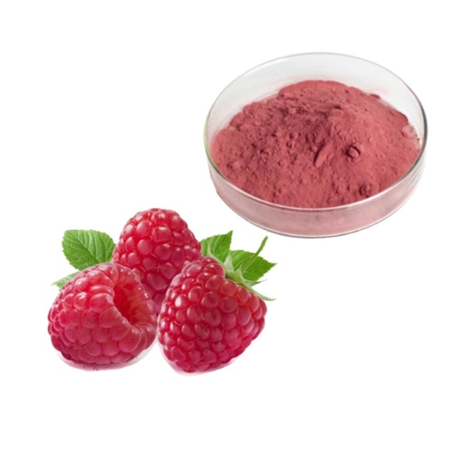 OEM&ODM&Bulk Factory supplement weight loss pure nature fruit extract raspberry ketones powder