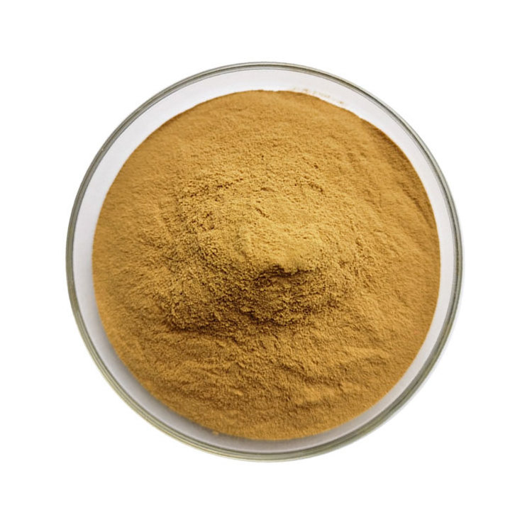 Hot sale water soluble 50% chlorogenic acids green coffee bean extract powder for weight loss