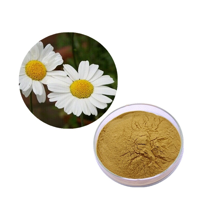 Pyrethrum Flower Extract extract powder  liquid Permethrin for Biological Pesticide & Insecticide