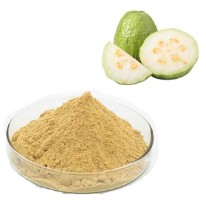 Wholesale organic Guava fruit juice Powder/ Guava leaf extract