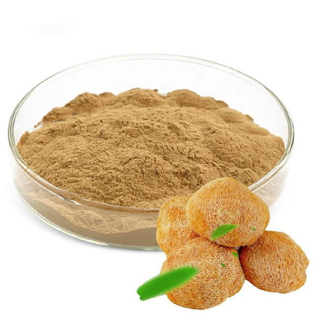 ODM OEM Bulk Lion's Mane Extract Mushroom Lions Mane Spawn Lions Mane Powder