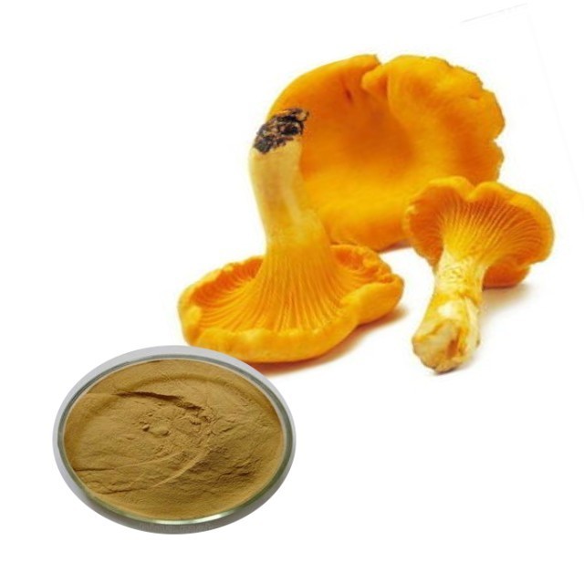 Factory Supply High Quality Organic chanterelles mushrooms extract Polysaccharides extract