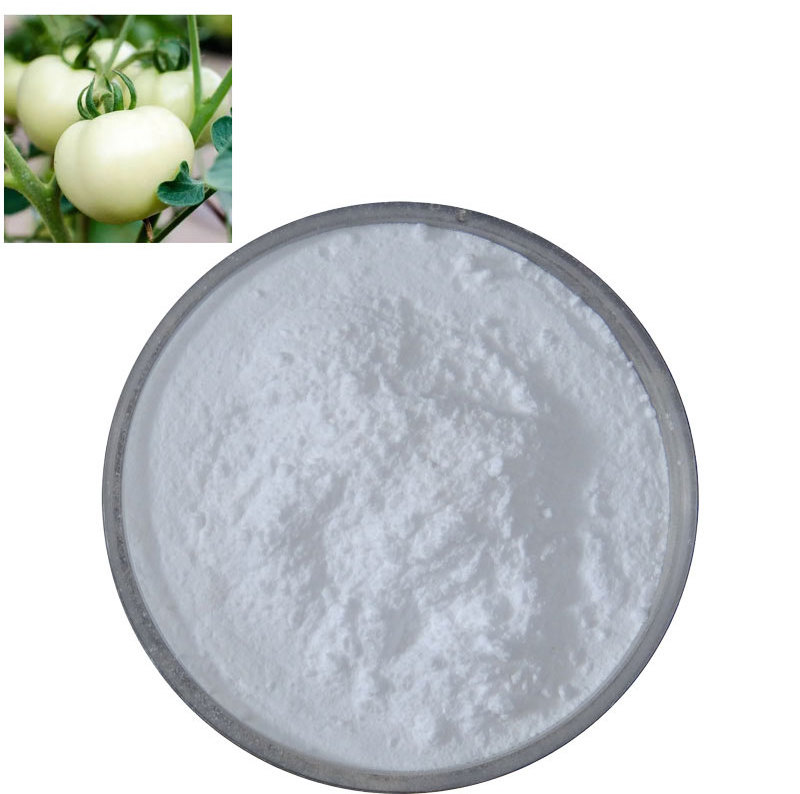 Factory Supply Best Quality Organic White Tomato Extract Powder White Tomato Powder