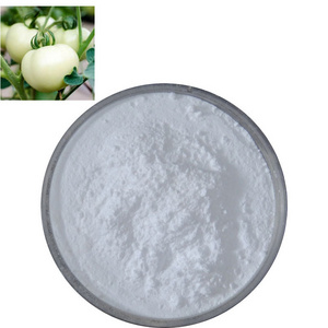 Factory Supply Best Quality Organic White Tomato Extract Powder White Tomato Powder