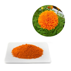 Plant Extract Water Soluble Marigold Flower Extract Lutein Xanthophylls zeaxanthin powder