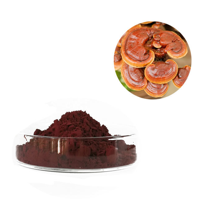 Pure Organic Ganoderma Lucidum Spore Powder Organic Certified Shell Broken Reishi Powder Capsule