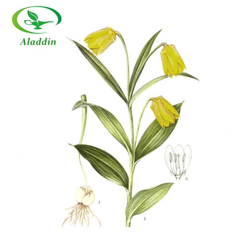 Hot selling Thunberg Fritillary Bulb Powder  Fritillaria Powder Caladium Powder