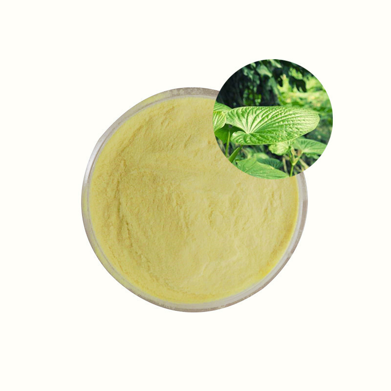 wholesale Kava Root Extract 10% 20% 30% 70% Kavalactone 10:1 kava extract