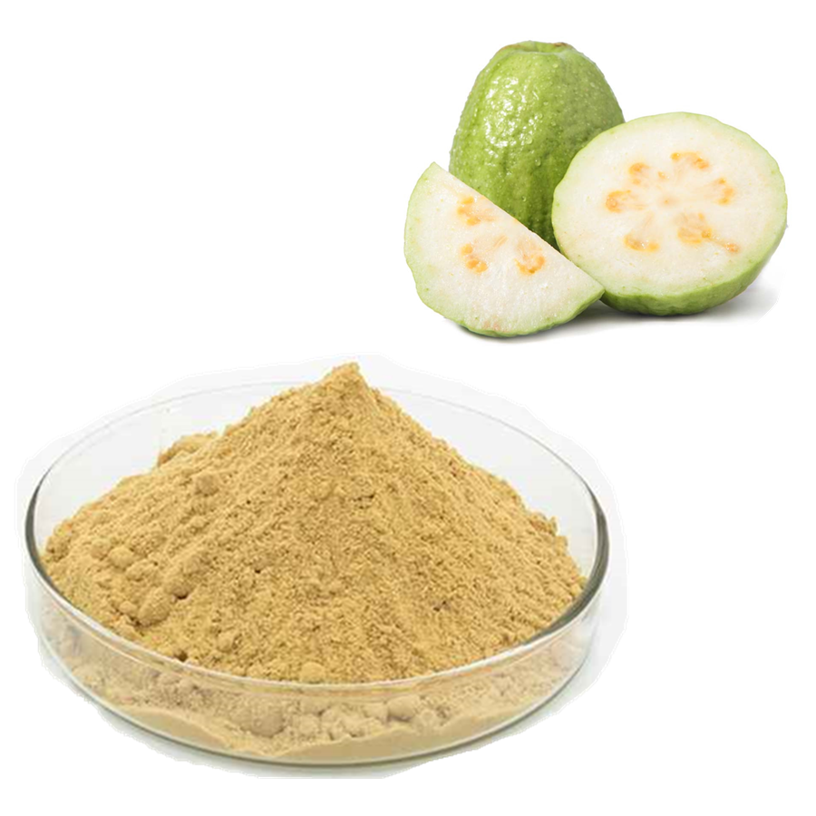 Wholesale organic Guava fruit juice Powder/ Guava leaf extract