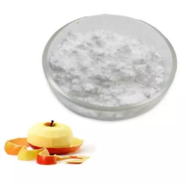 Tasty Organic Apple Peel Extract Powder 98% Phloretin Apple Peel Powder