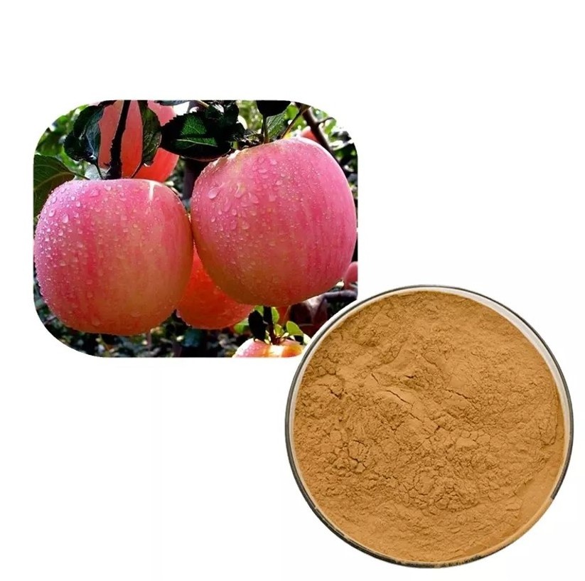 Tasty Organic Apple Peel Extract Powder 98% Phloretin Apple Peel Powder