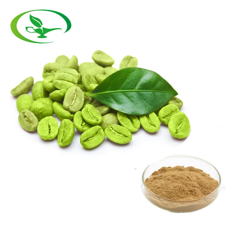 Hot sale water soluble 50% chlorogenic acids green coffee bean extract powder for weight loss