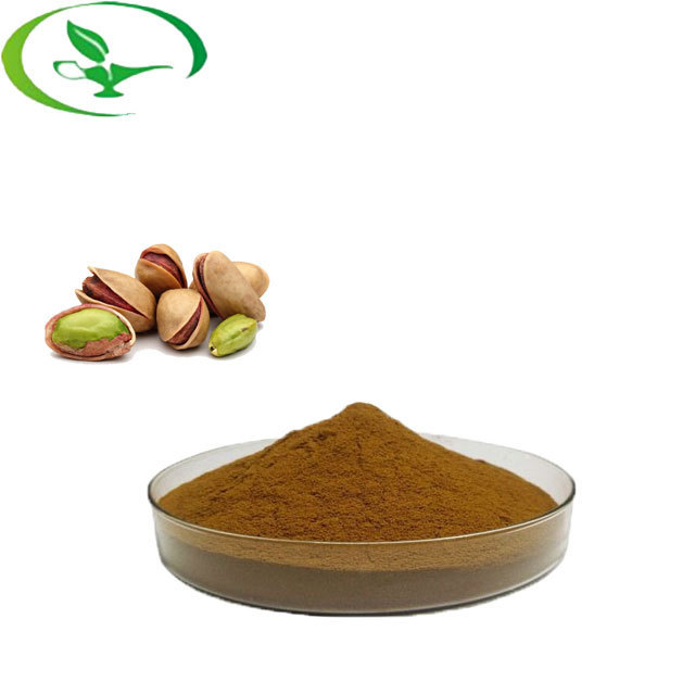 Organic Seed 100% Manufacturer Natural Nut Fruit Shell Dried Fruit Pistachio Vera Seed Extract Powder