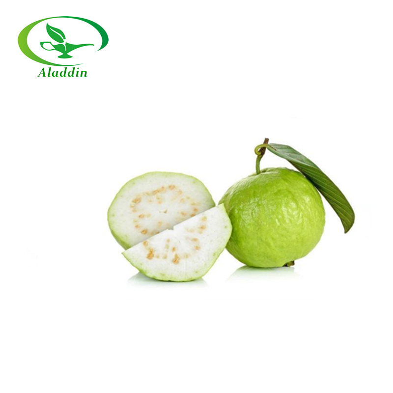 Wholesale organic Guava fruit juice Powder/ Guava leaf extract