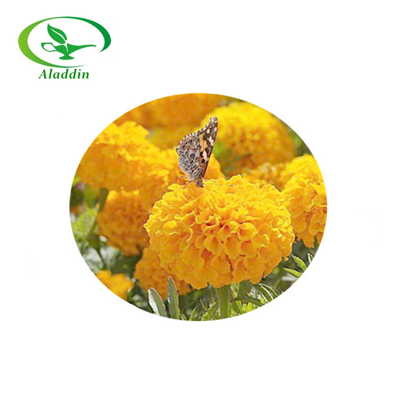 Plant Extract Water Soluble Marigold Flower Extract Lutein Xanthophylls zeaxanthin powder