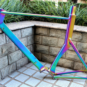 titanium single speed bike frame with Pinion/ Bafang G510 gear box rainbow color