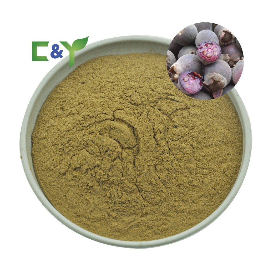 Sell low price Rhodomyrtus Tomentosa rose myrtle capsule Rhodomyrtus Tomentosa Extract powder