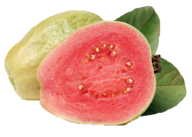 Factory direct sale fresh guava guava extract powder guava juice powder