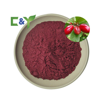 Best price miraculin powder blushwood berry extract blushwood berry extract powder blushwood berry powder EBC46