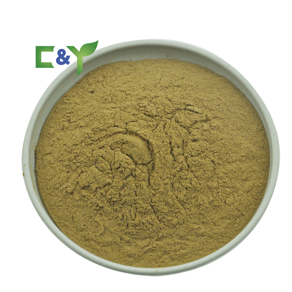 Wholesale high quality tea tree mushroom polysaccharide tea tree mushroom extract