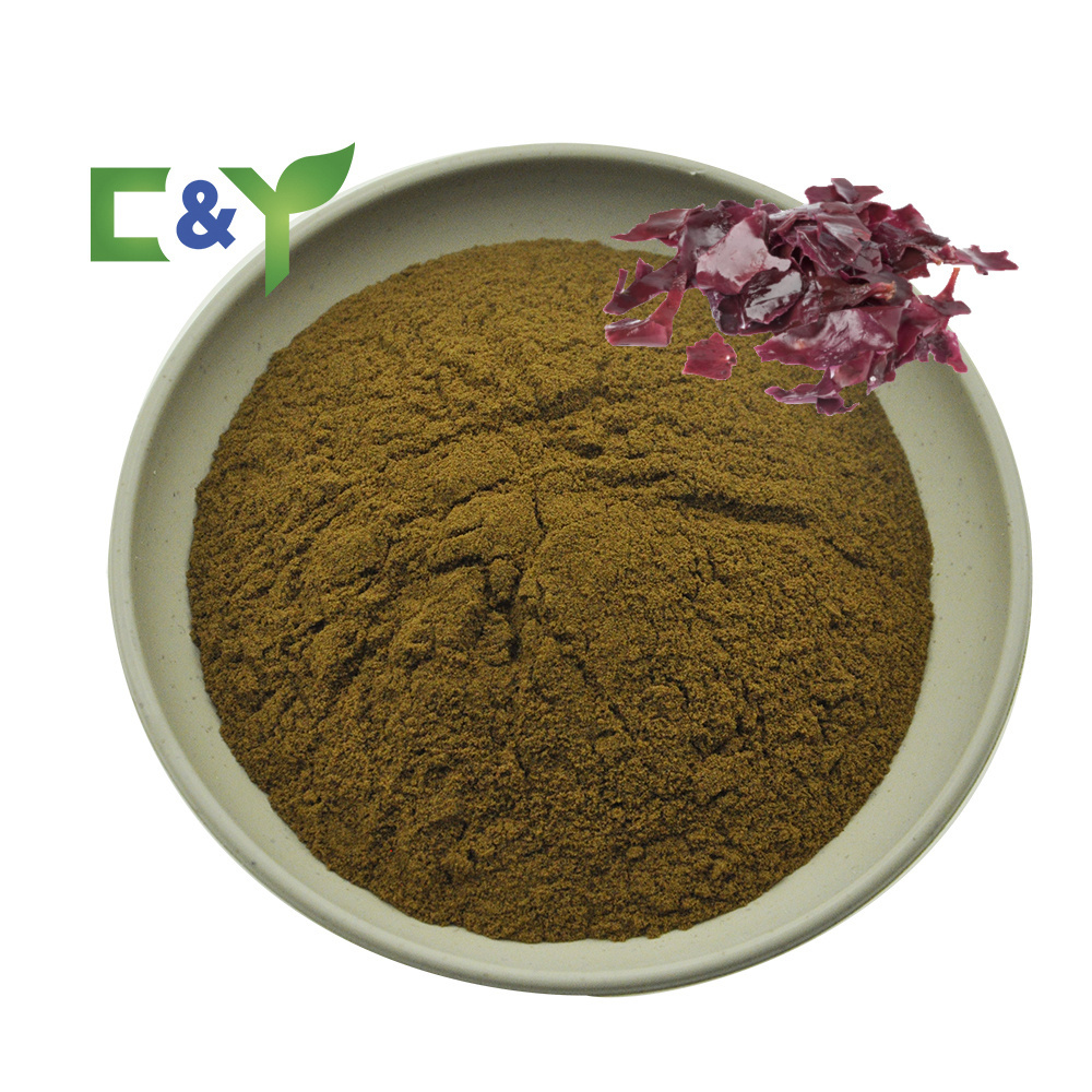 2022 Hot Sale Red Algae Powder, Dulse Seaweed Extract, Palmaria Palmata Extract