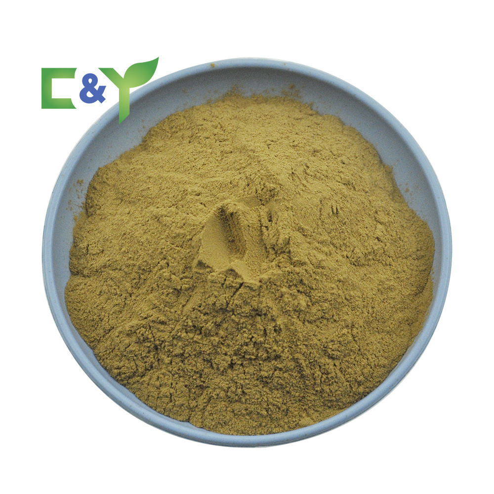 OEM private labels natural supplement ginkgo biloba extract capsules 10:1 20:1 ginkgo biloba leaf extract powder